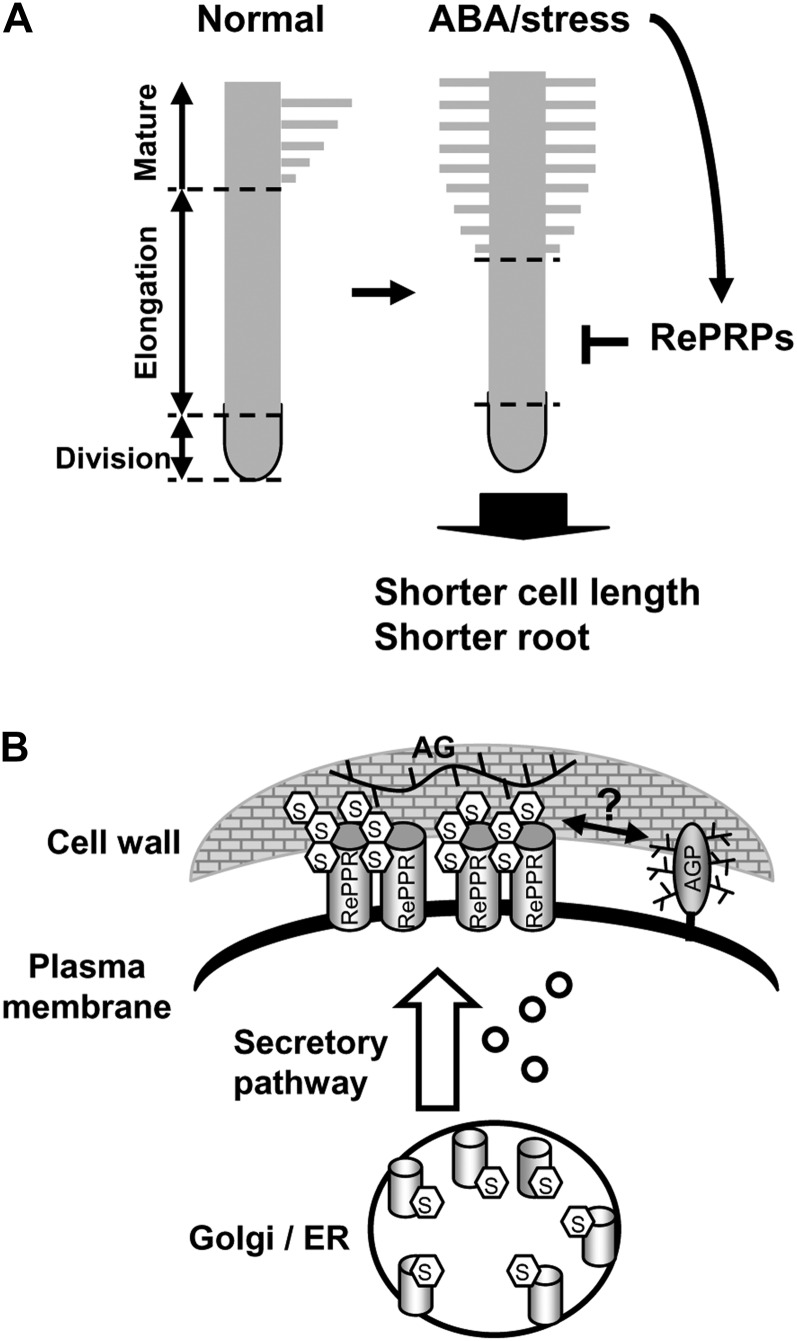 Figure 11.