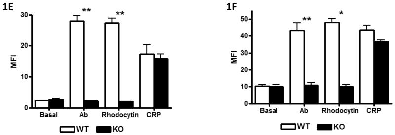 Figure-1