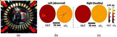 Fig. 5