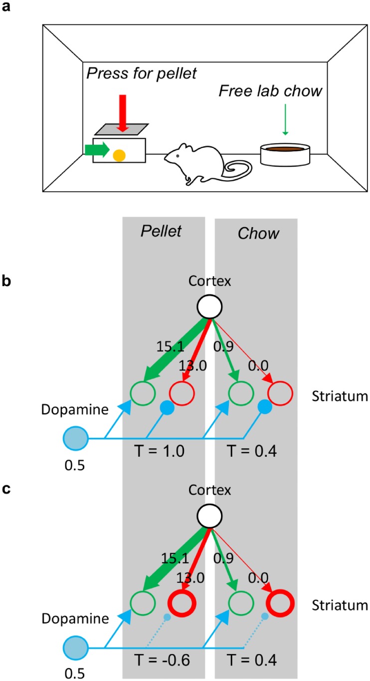 Fig 6