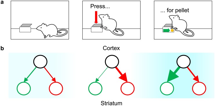 Fig 2