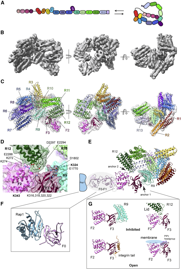 Figure 1