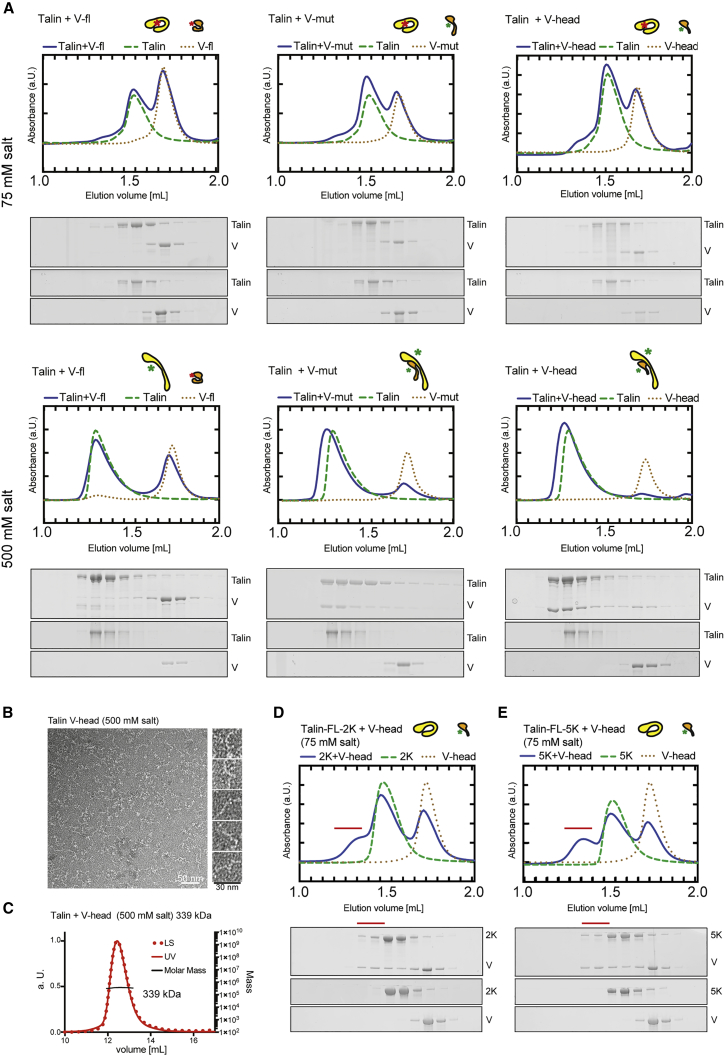 Figure 5