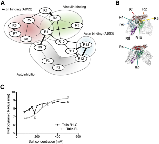 Figure 4