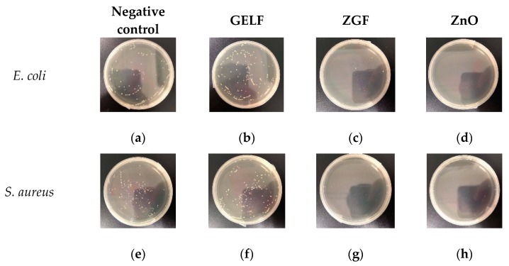 Figure 9
