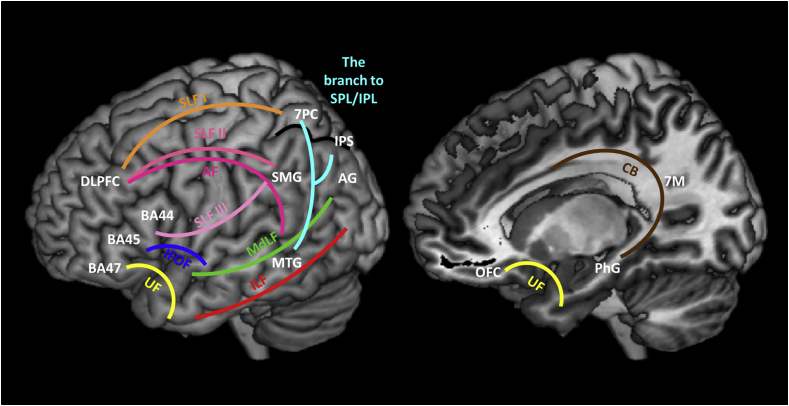 Fig. 3