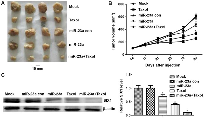 Figure 6.