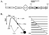 FIG. 2.