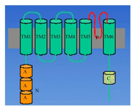 Fig. 2