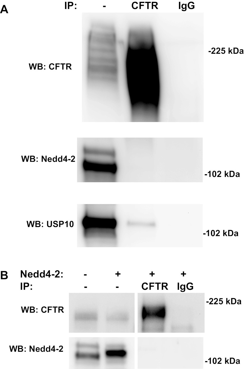 Fig. 9.