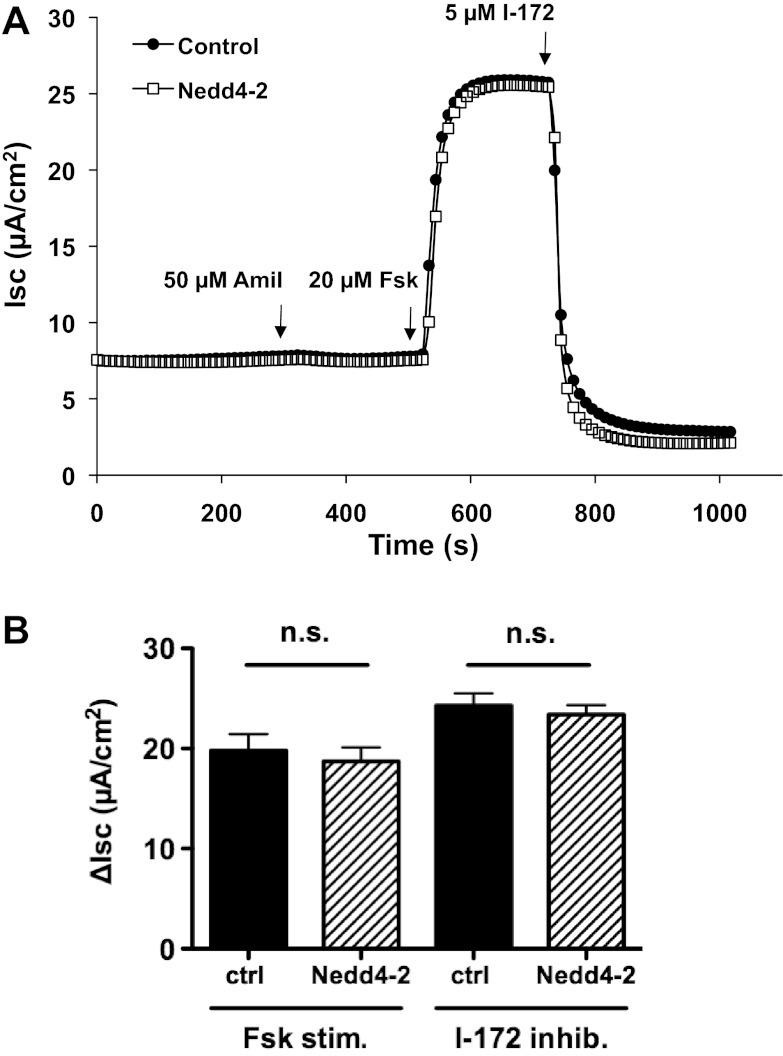 Fig. 8.