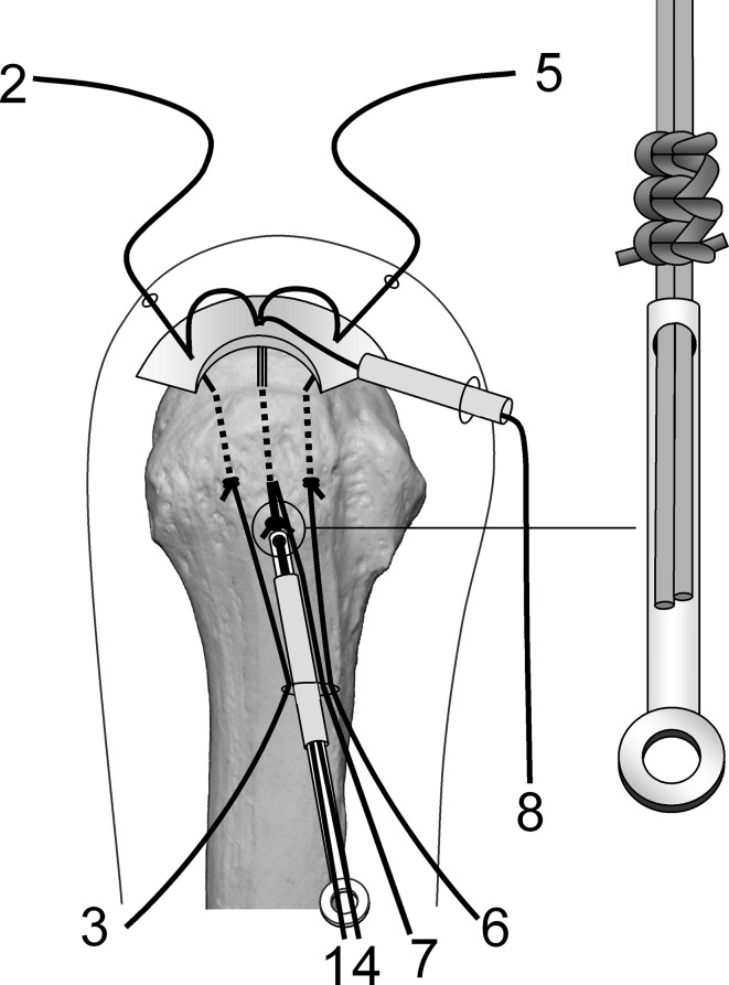 Fig. 7