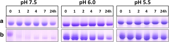 Fig. 9