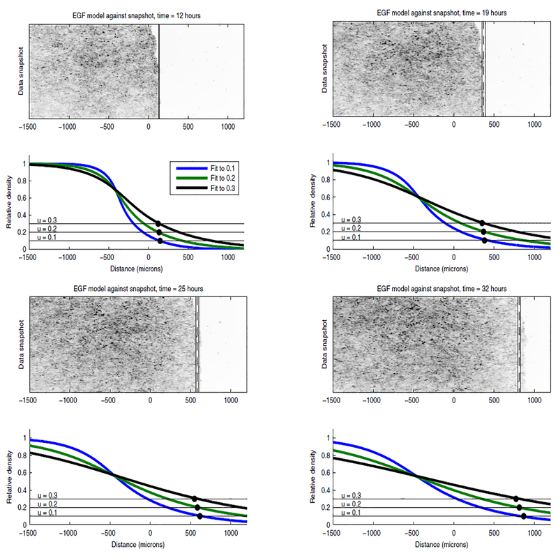 Figure 3.4: