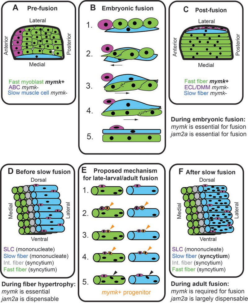 Figure 9: