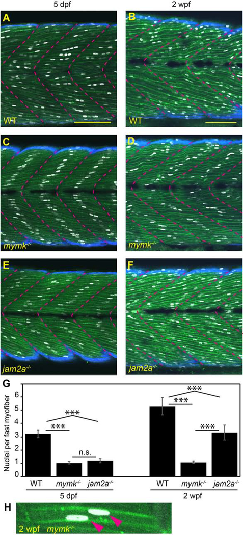 Figure 3: