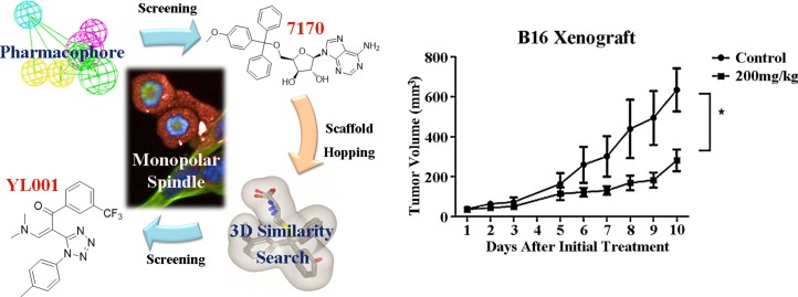 Graphical Abstract: Discovery of Eg5 inhibitor YL001 as a novel antitumor agent