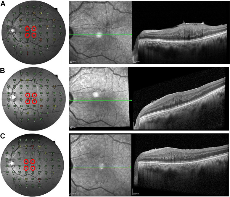 Fig. 2