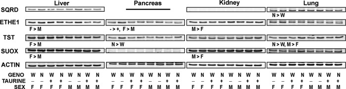 FIG. 9.