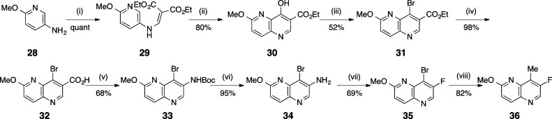 Scheme 3