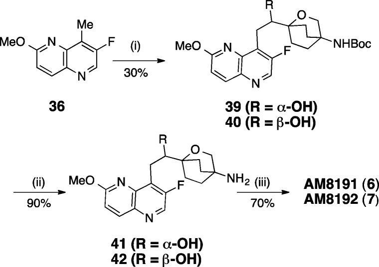 Scheme 5