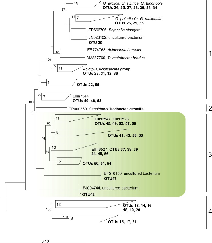 Fig 6