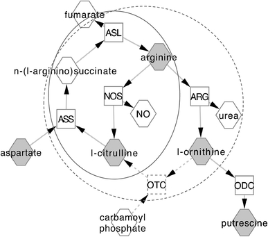 Fig. 5