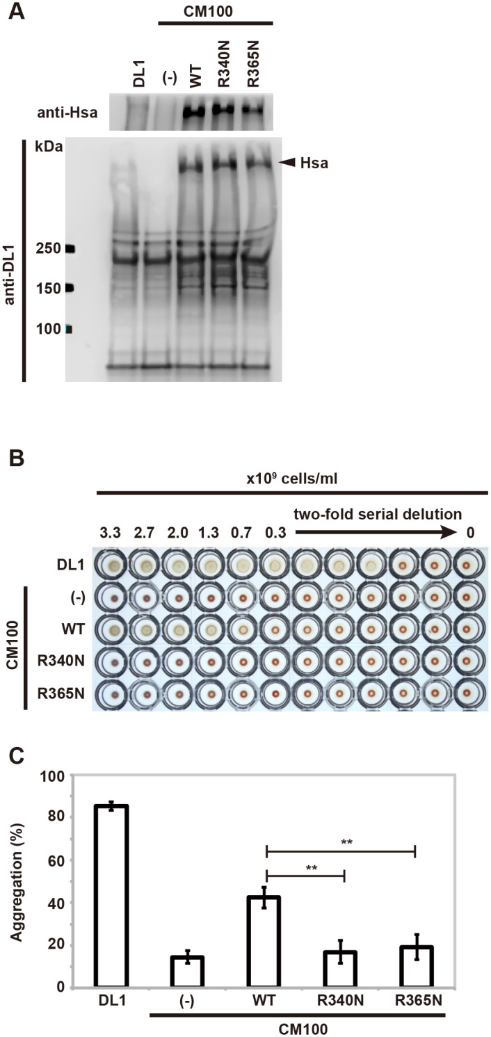 Fig 5