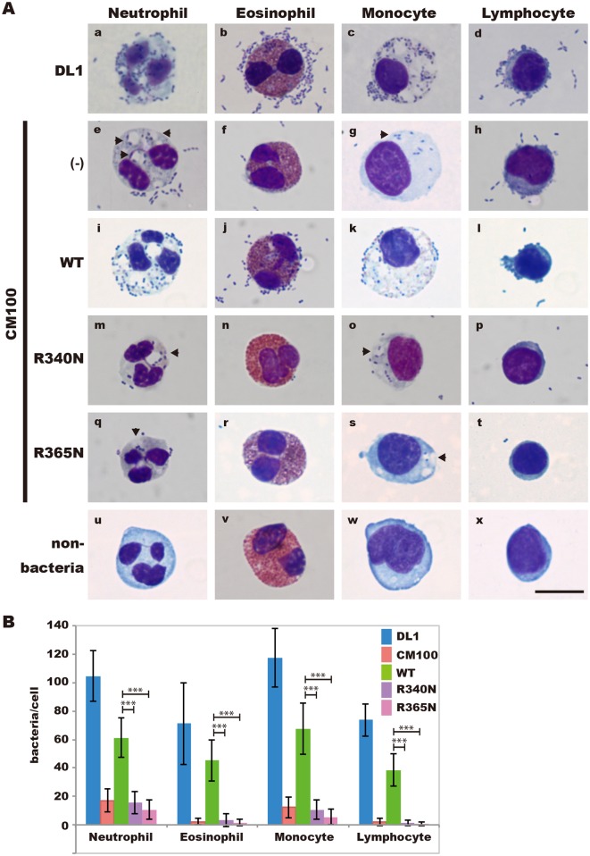 Fig 6