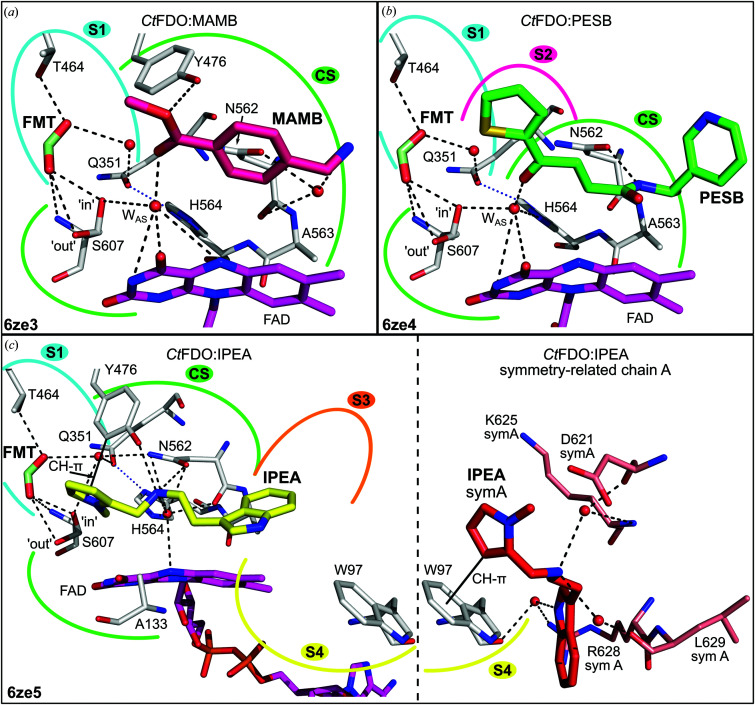 Figure 4