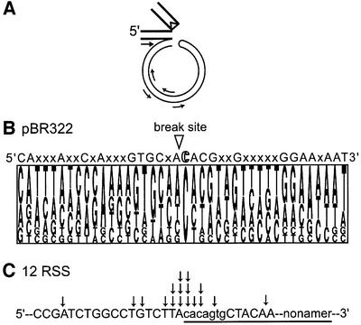 graphic file with name cdf630f5a.jpg