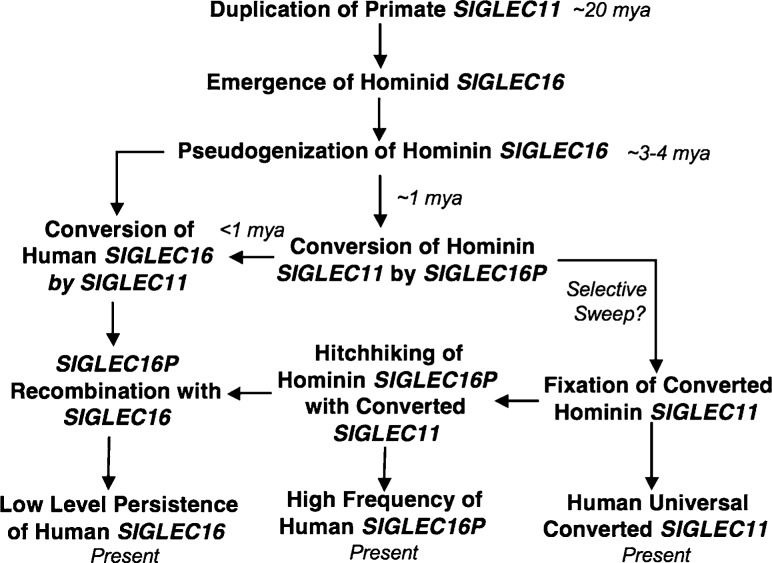 FIG. 10.