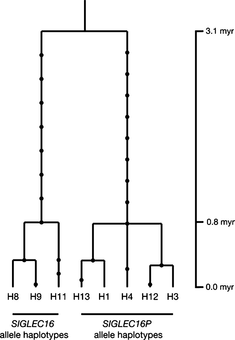 FIG. 8.