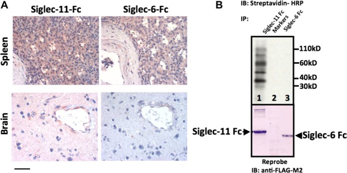 FIG.
6.