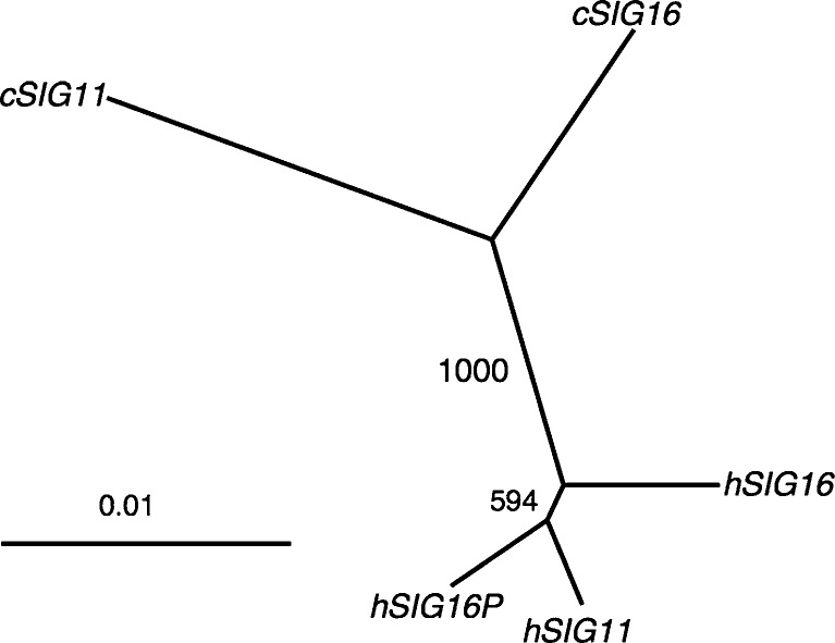 FIG.
2.