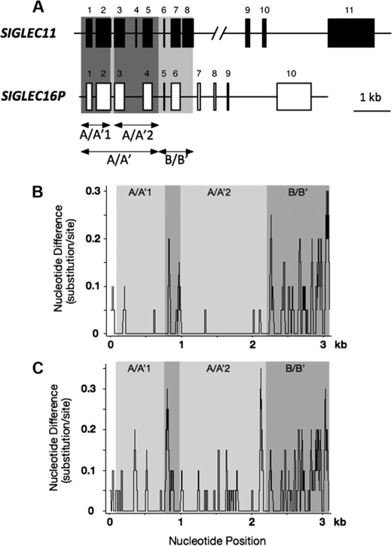 Fig.
1.