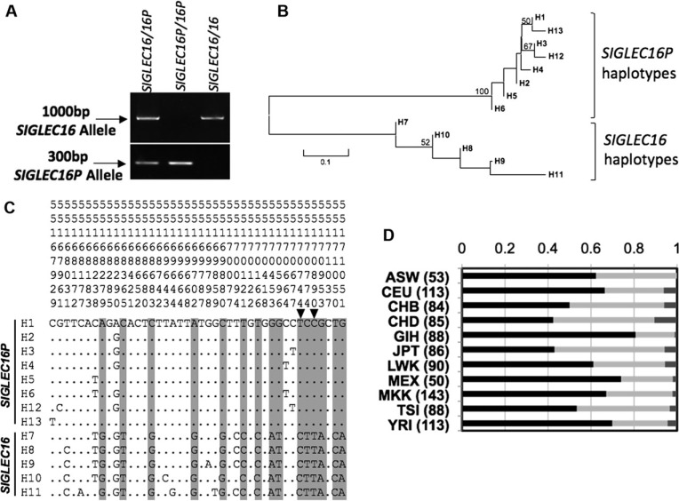 FIG.
7.