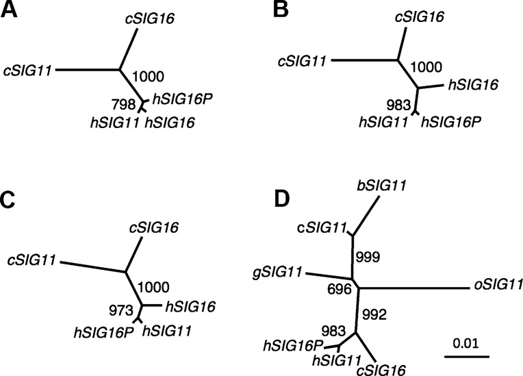 FIG.
3.