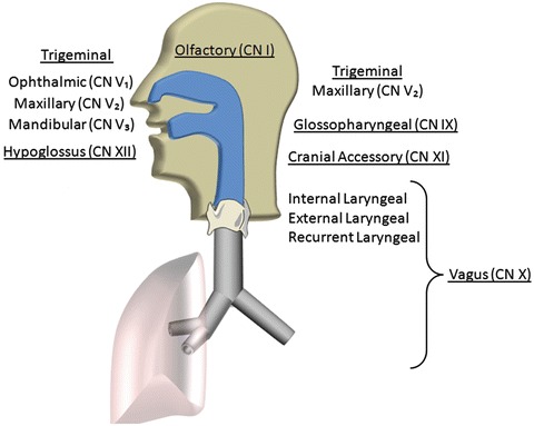 Fig. 2.1