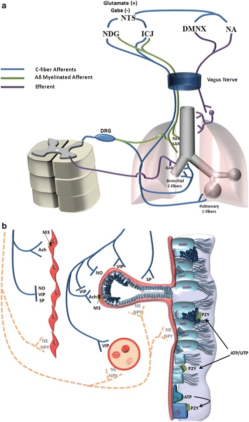 Fig. 2.2