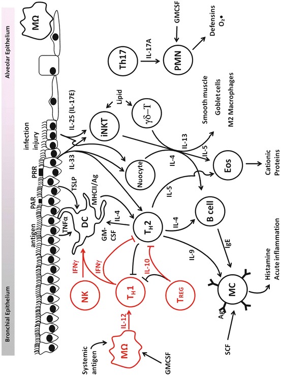 Fig. 2.4