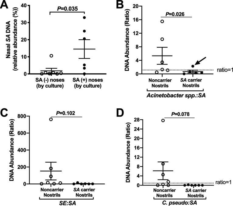 FIG 3