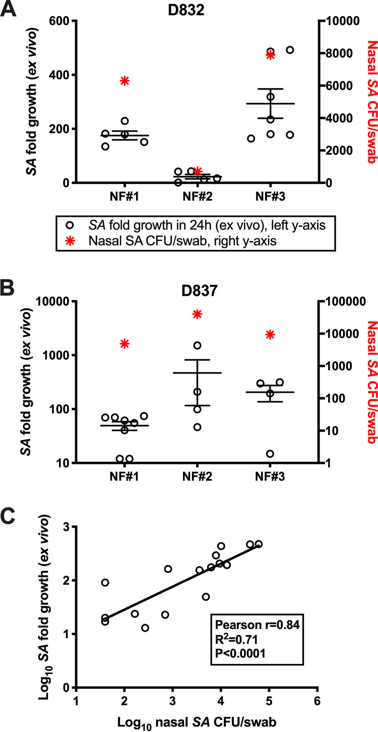 FIG 1