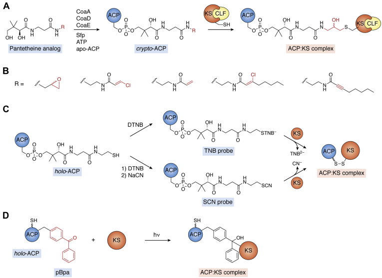 Figure 4