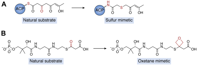 Figure 7