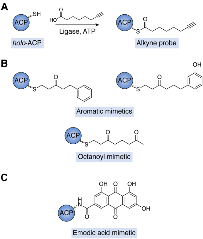 Figure 5