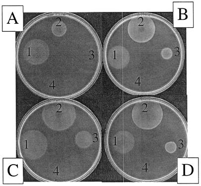 FIG. 3.