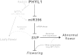 Figure 10.