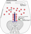 Figure 17.