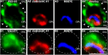 Figure 11.